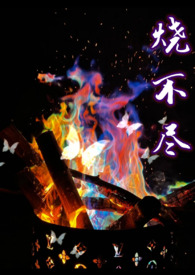 烧不尽广播剧歌曲