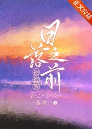 日落之前拥抱我小说15
